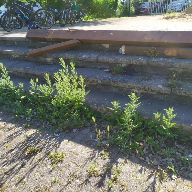 Aufräumen